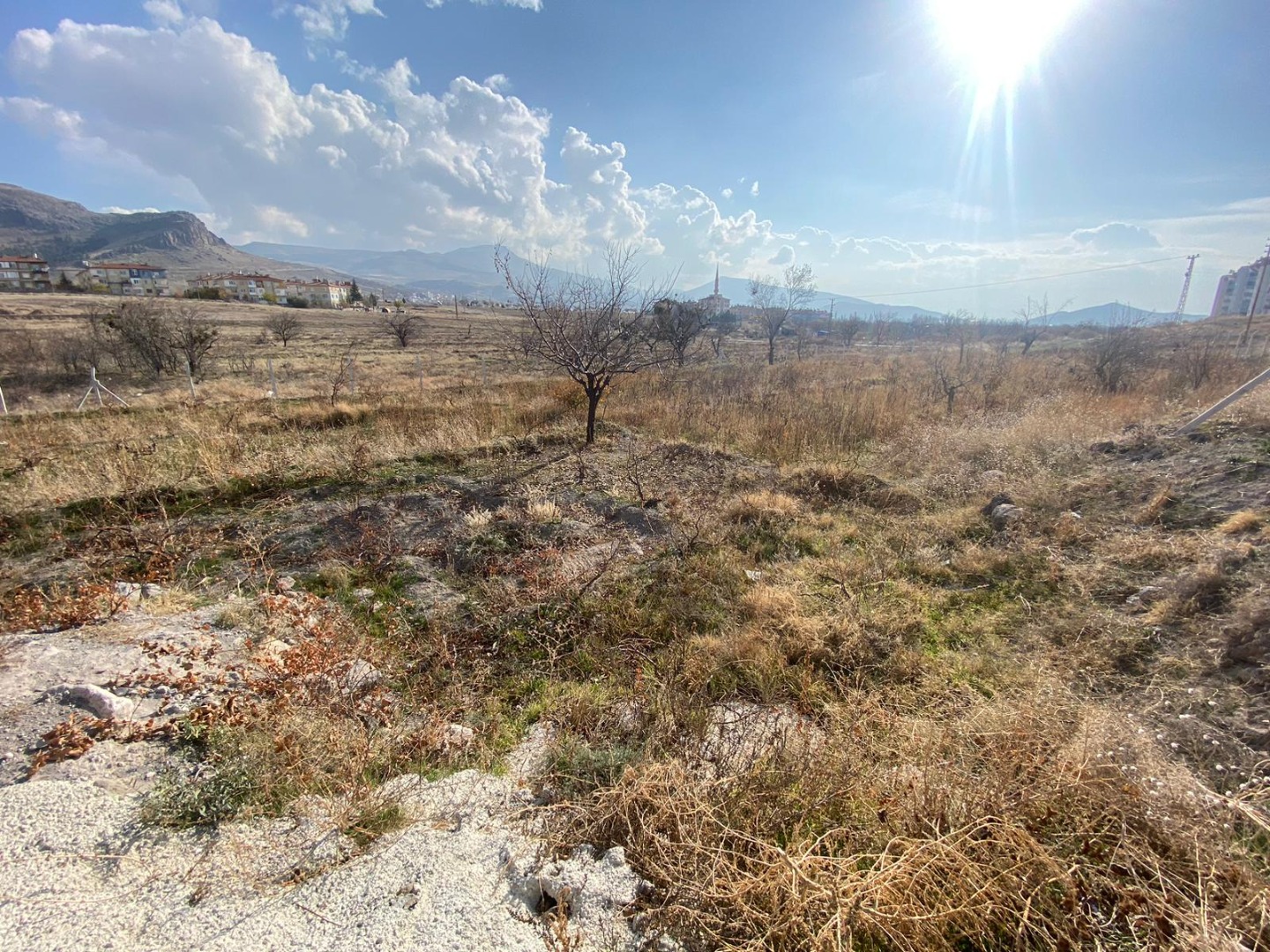 KAYSERİ DEVELİ GÜNEYAŞAĞI MAHALLESİ ARGINCIK MEVKİNDE SATILIK BAĞ EVİ